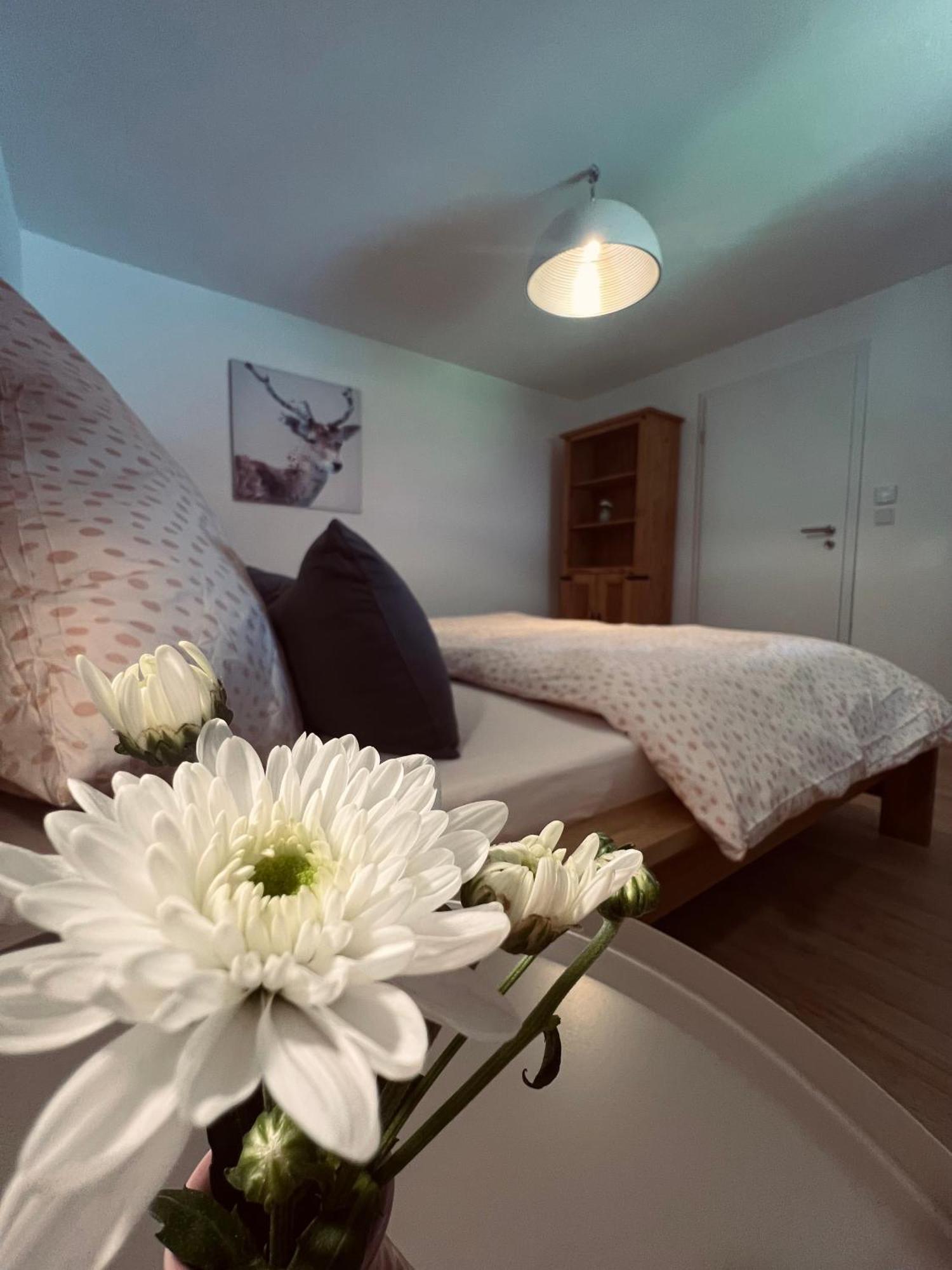 Ferienwohnung Leonie 奥伯劳 外观 照片